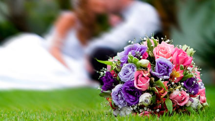 wedding websites for the diy brides - tips for the diy wedding